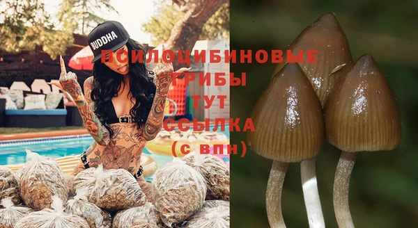 первитин Балахна