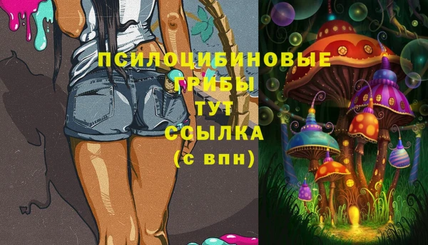 дмт Белоозёрский